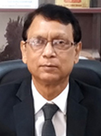 Prof.-Dr.-Dilip-Kumar-Bhowmik